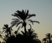 Bawiti-Qasr II